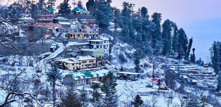 Delhi To Shimla Taxi Service